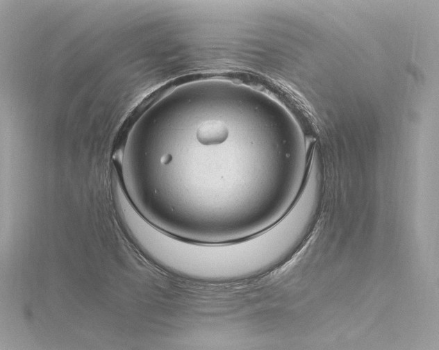 X0000116311457200911301453