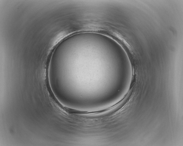 X0000116311459200911301453