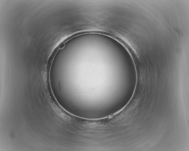 X0000116311460200911301453