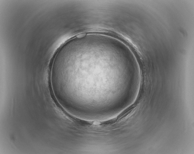 X0000116311463200911301453