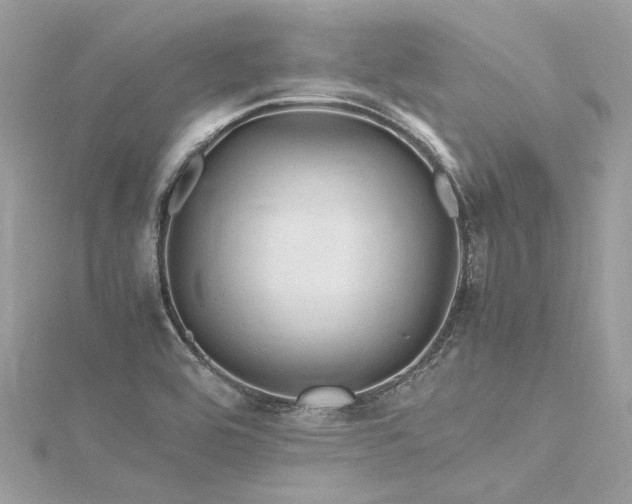 X0000116311464200911301453