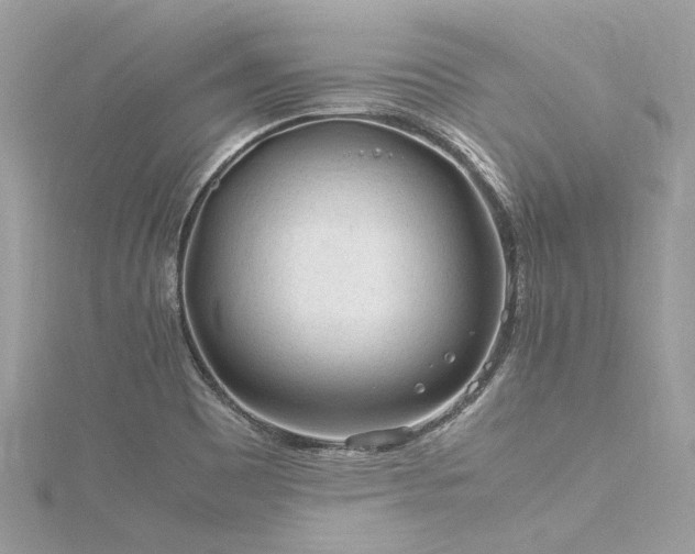 X0000116311465200911301453