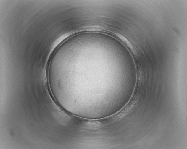 X0000116311466200911301453