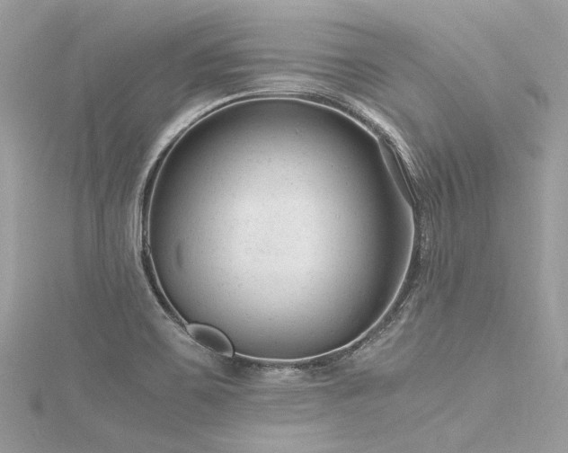 X0000116311467200911301453