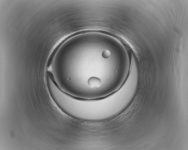 X0000116311468200911301453