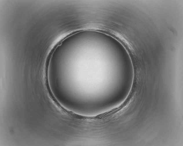 X0000116311469200911301453