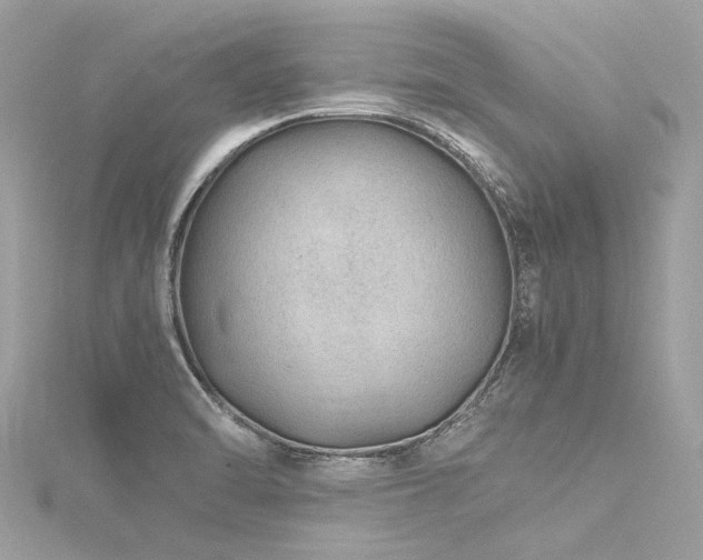 X0000116311470200911301453