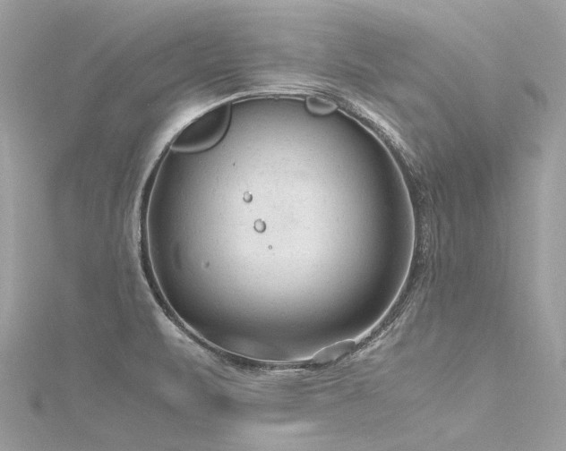 X0000116311471200911301453