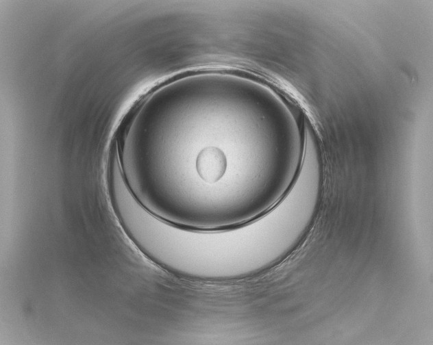 X0000116311472200911301452