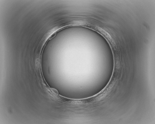 X0000116311473200911301452