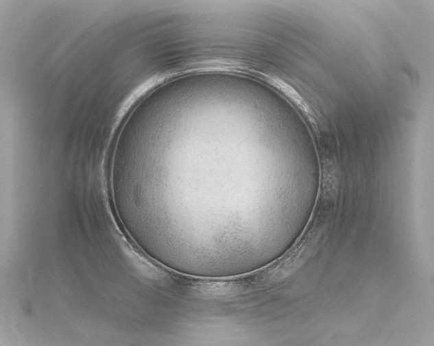 X0000116311474200911301452