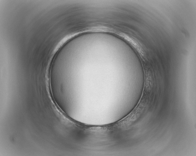 X0000116311478200911301452