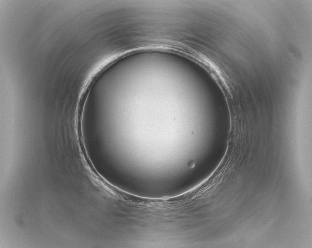 X0000116311480200911301452