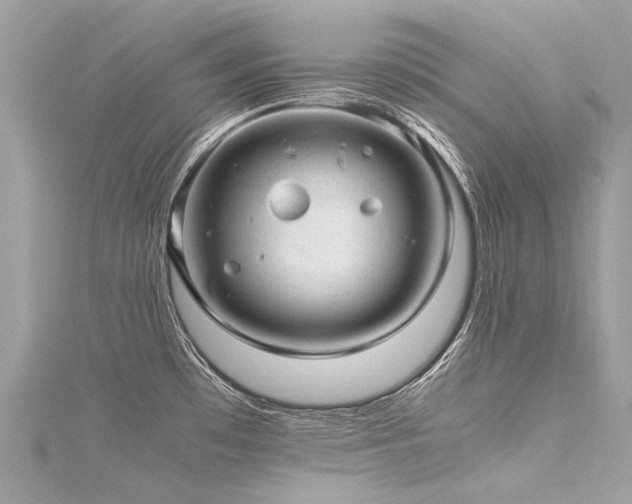 X0000116311481200911301452