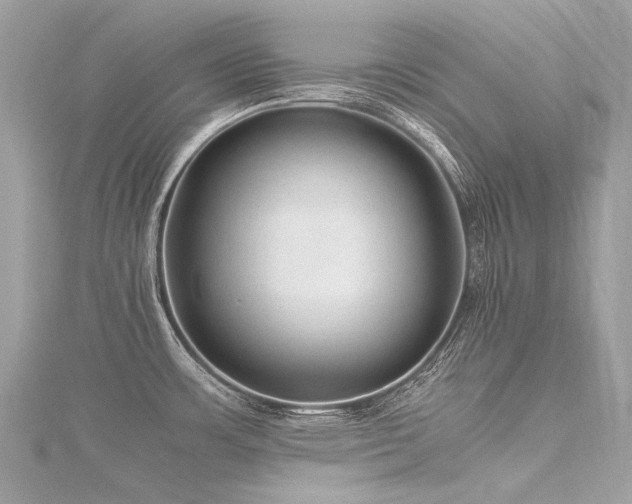 X0000116311483200911301452