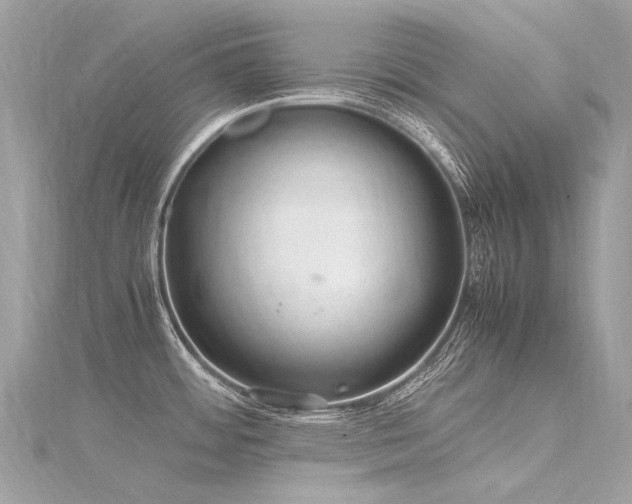 X0000116311484200911301452