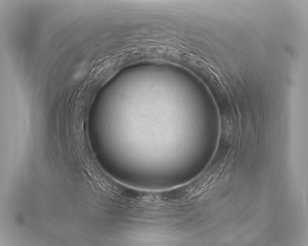 X0000116311489200911301451