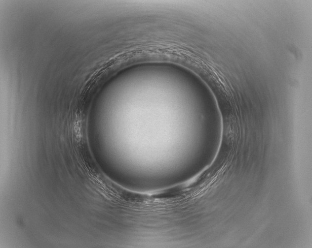 X0000116311490200911301451