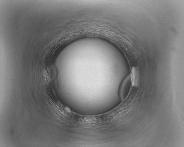 X0000116311491200911301451