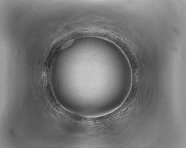 X0000116311493200911301451