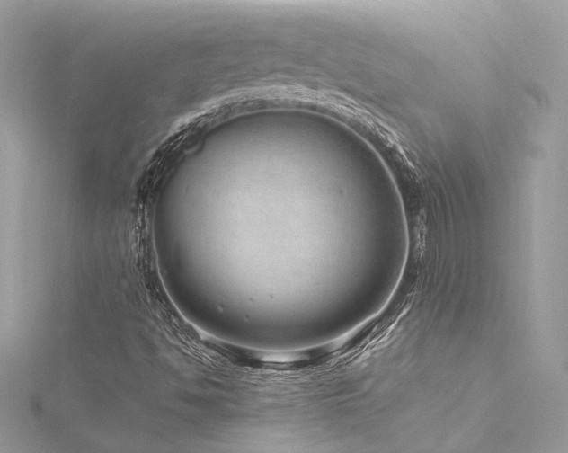 X0000116311494200911301451