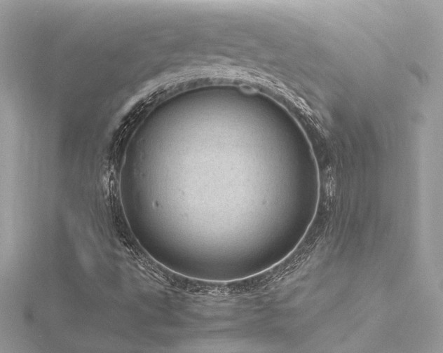 X0000116311495200911301451