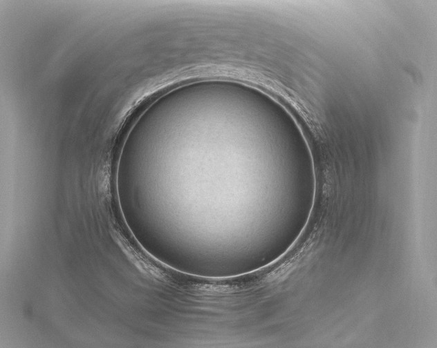 X0000116311499200911301451