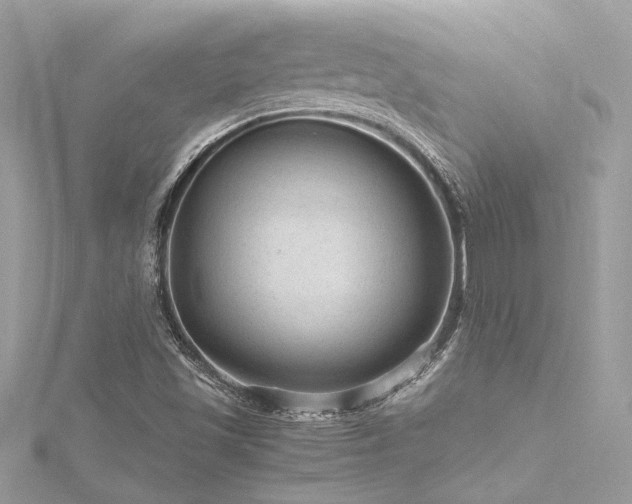 X0000116311501200911301451