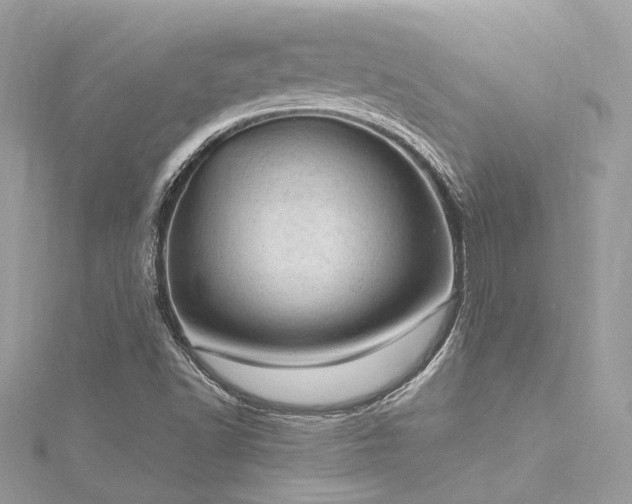 X0000116311502200911301451