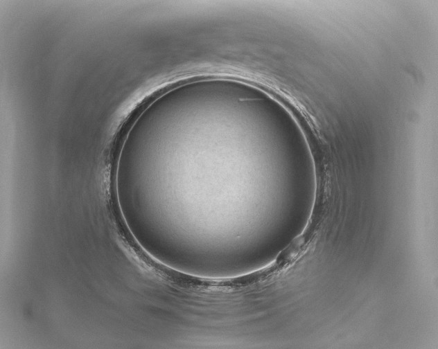 X0000116311503200911301451