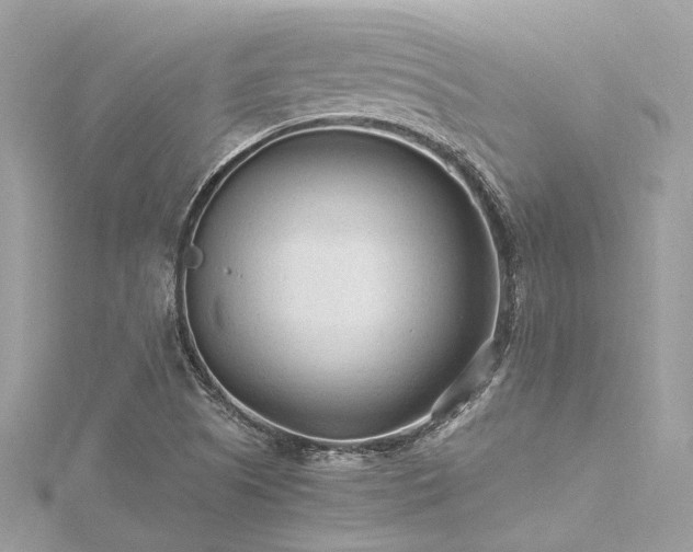 X0000116311505200911301452