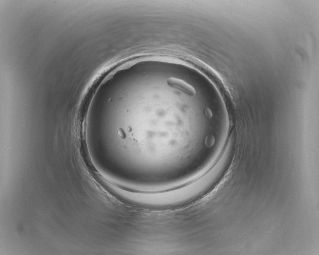 X0000116311506200911301452