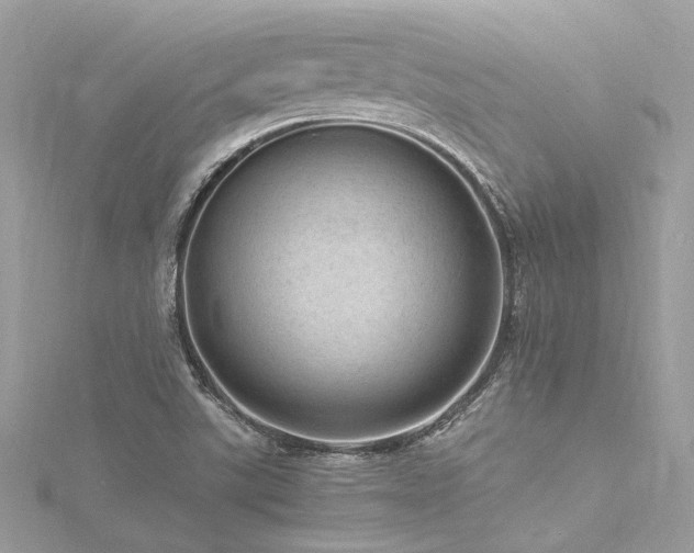 X0000116311507200911301452