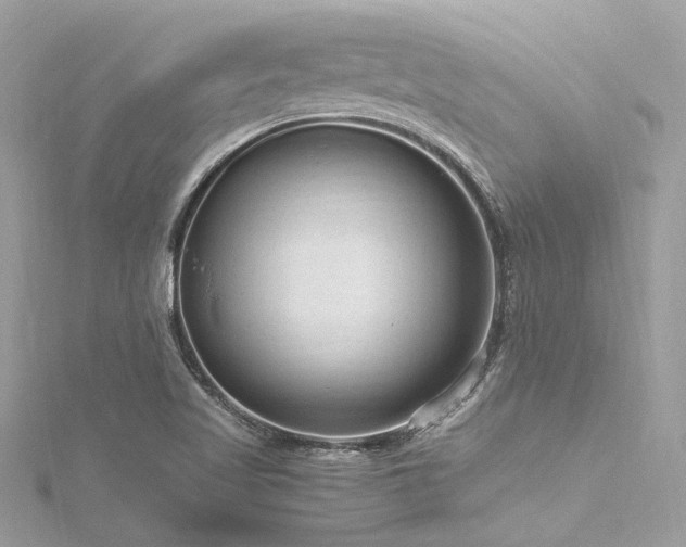 X0000116311509200911301452