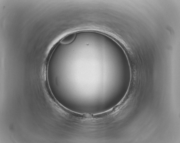 X0000116311510200911301452