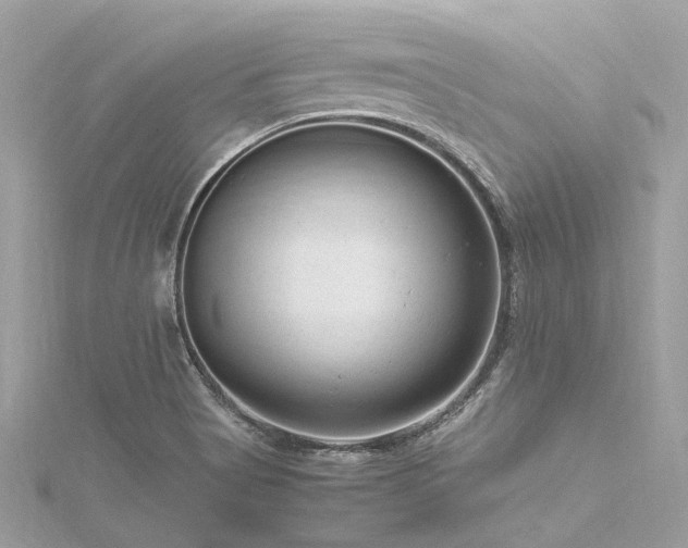 X0000116311513200911301452