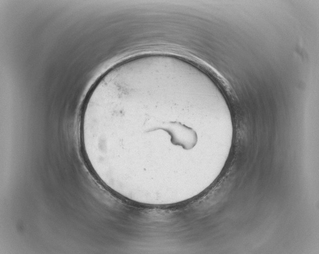 X0000116311514200911301452