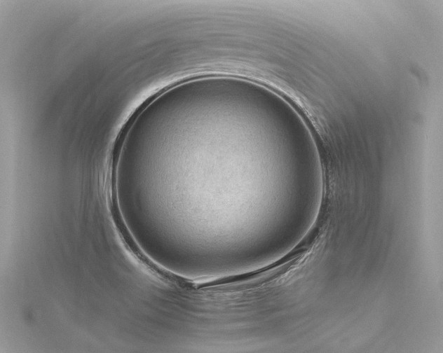 X0000116311515200911301452