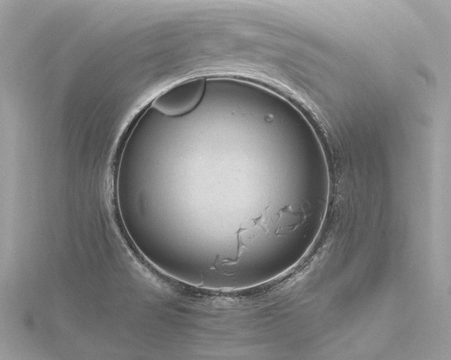 X0000116311517200911301452