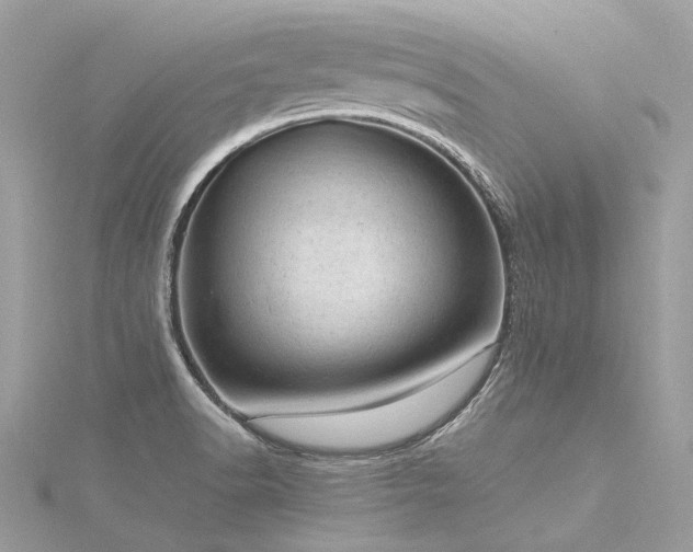 X0000116311518200911301452