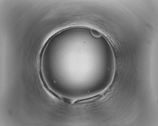 X0000116311519200911301452