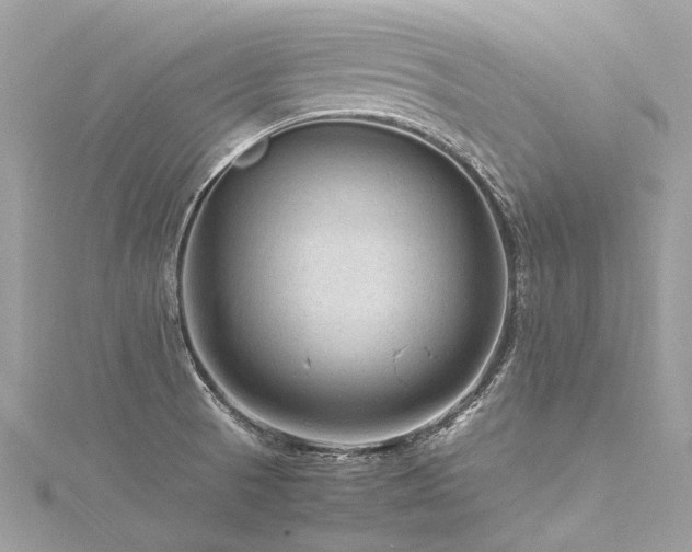 X0000116311521200911301452