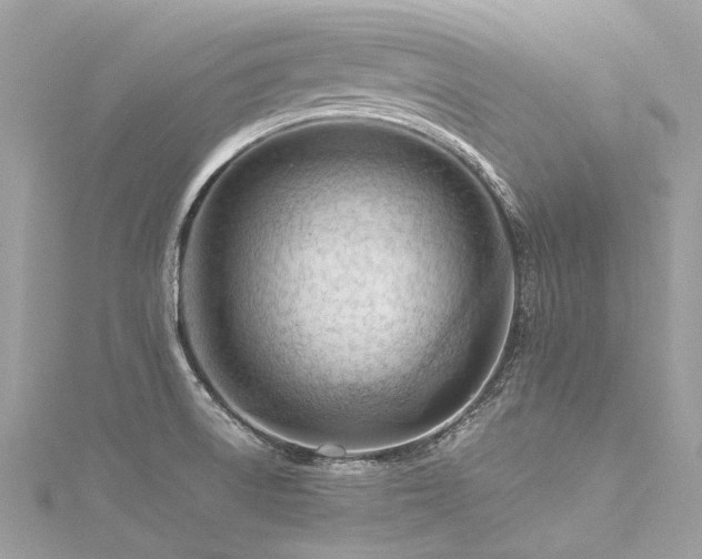 X0000116311522200911301452