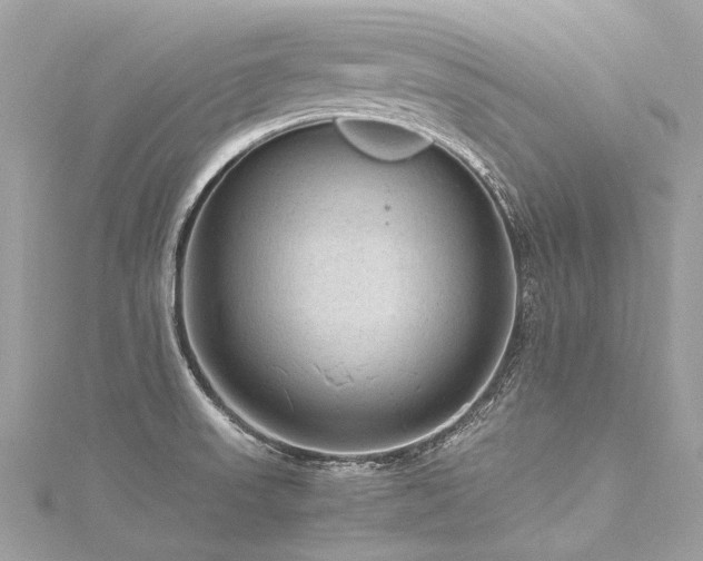 X0000116311523200911301452