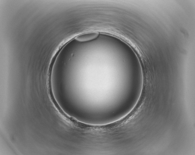 X0000116311525200911301452