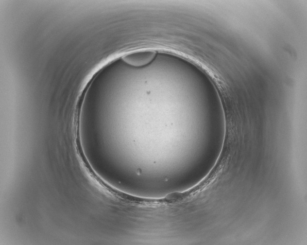 X0000116311526200911301452