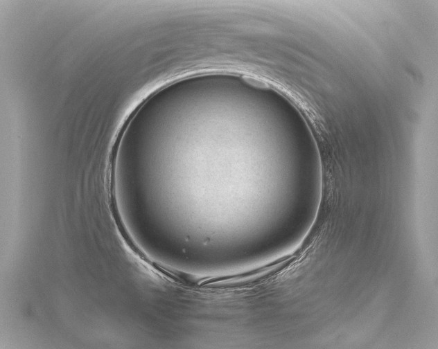 X0000116311527200911301452