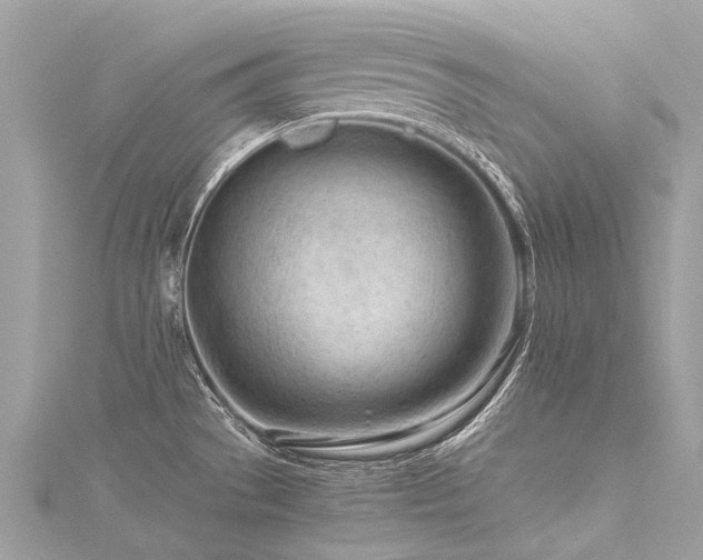 X0000116311529200911301452