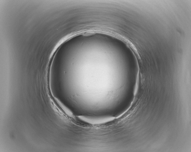 X0000116311530200911301452