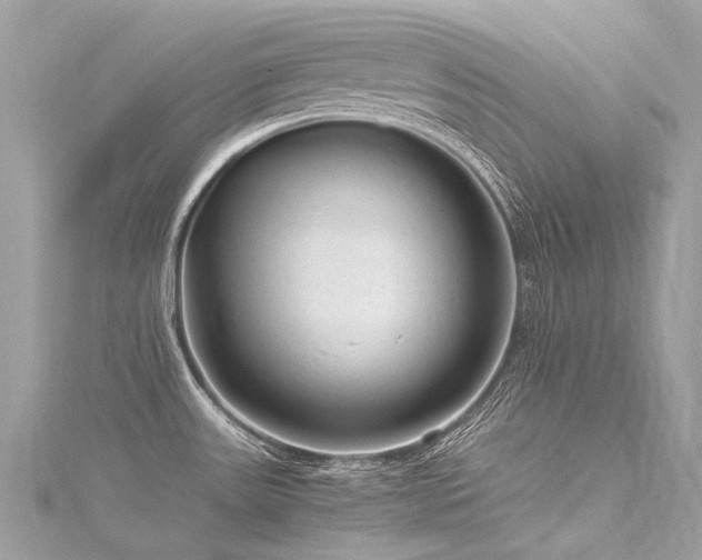 X0000116311531200911301452